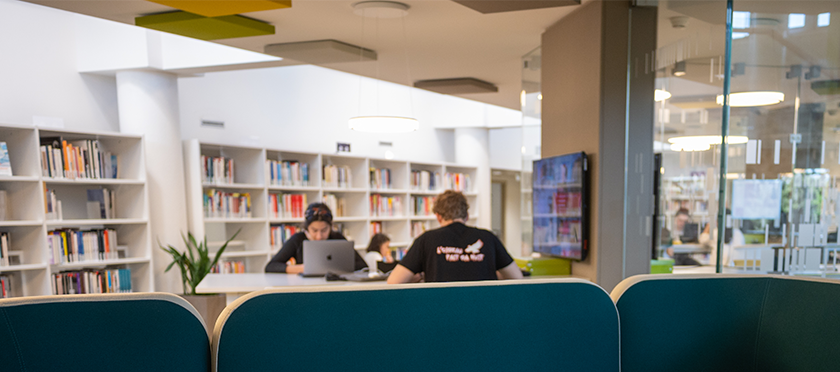 Image Alt Text